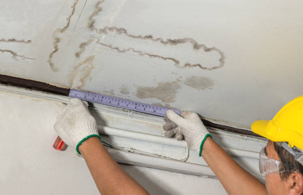 Reliable Water Damage contractor in West Liberty, WV by Water Damage Irwin